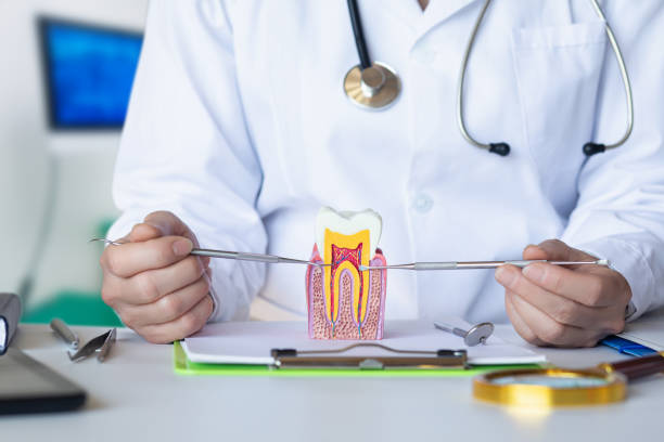 Best Dental Abscess Treatment in Merryville, LA